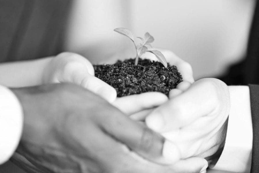 square content area pictures